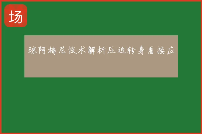 琼阿梅尼技术解析压迫转身看接应